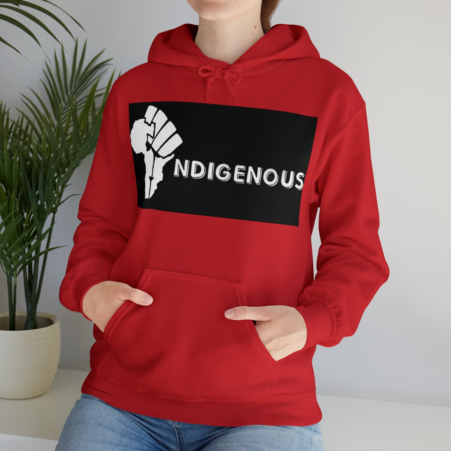 Afro-Indigenous Hoodie